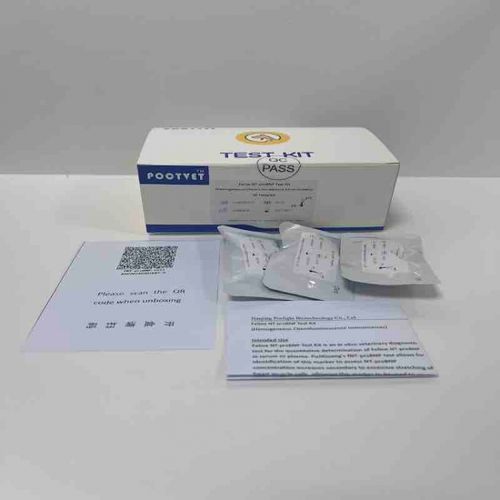 Testkit für Infektionskrankheiten - Poclight - für Veterinärmedizin / für Katzen / NT-proBNP
