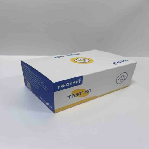 Testkit für Infektionskrankheiten - Poclight - für Veterinärmedizin / für Katzen / für Veterinärmedizin