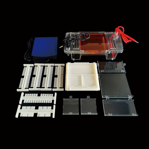 Elektrophoresesystem für Proteine - SVL-2 - Servicebio - für DNA / automatisch / Tisch