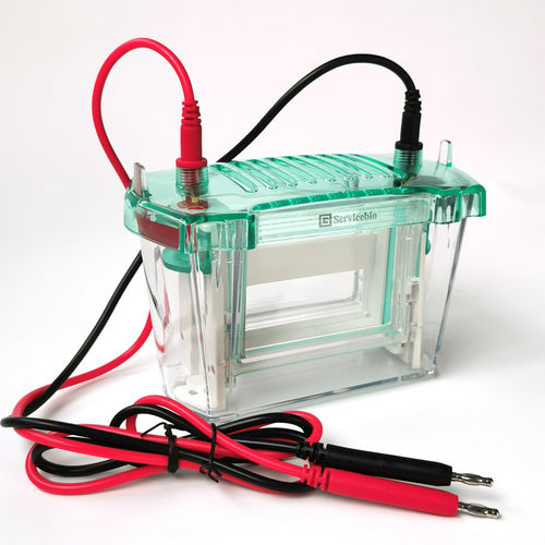Elektrophoresekammer für DNA - SVE-2 - Servicebio - für Proteine / vertikal