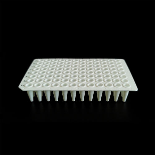 Mikroplatte für PCR - PCR-9602W-NS - Servicebio - Fluoreszenz / 96 Well