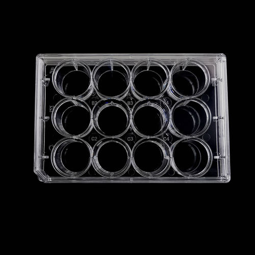 Labor-Mikroplatte - CCP-12H - Servicebio - Zellkultur / 12 Mulden