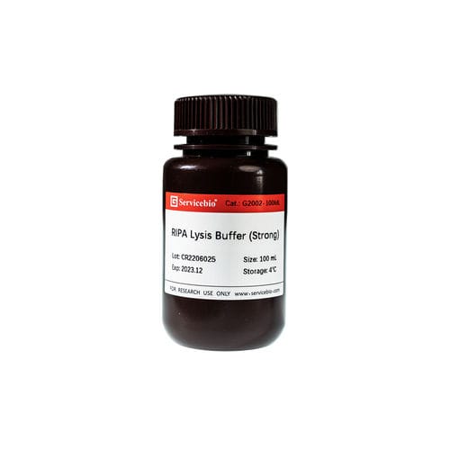 Pufferlösungs-Reagenzkit - G2002-100ML - Servicebio - Proteinpicking