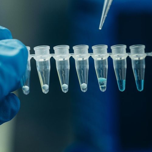 Reagenz / umgekehrte Transkriptase - Applyo Jena GmbH - Magnetkugeln / für RT-qPCR / gefriergetrocknet