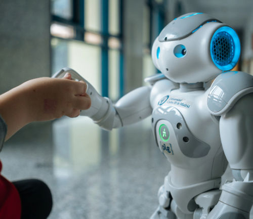Sozial Begleitroboter - INROBICS SOCIAL ROBOTICS, S.L.L. - Humanoïd / für die Rehabilitationsbehandlung / mit 3D-Kamera