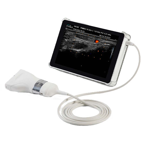 Tragbares Ultraschallgerät - InVisus® Pro - Natus Micromed - für Ultraschalluntersuchung von Muskeln und Skelett / Farbdoppler / Schwarz-Weiß