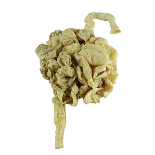 Anatomisches Modell / Dünndarm - MWDW-017 - MeiWo Science - für Veterinärmedizin / Pferd