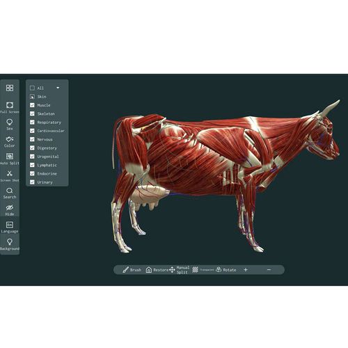 Anatomie-Software - MeiWo Science