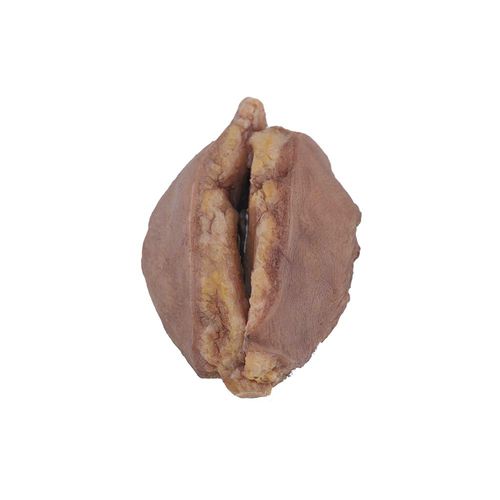 Anatomisches Modell / Brust - PS-002 - MeiWo Science - für die Ausbildung / für Krebserkrankungen / Silikon