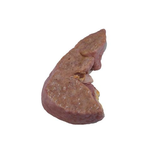 Anatomisches Modell / Leber - PX-004 - MeiWo Science - für die Ausbildung / für Krebserkrankungen / Silikon