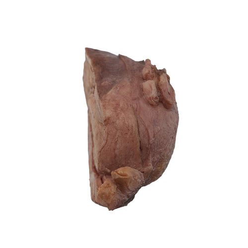 Anatomisches Modell / Gebärmutter - PS-004 - MeiWo Science - für die Ausbildung / Silikon