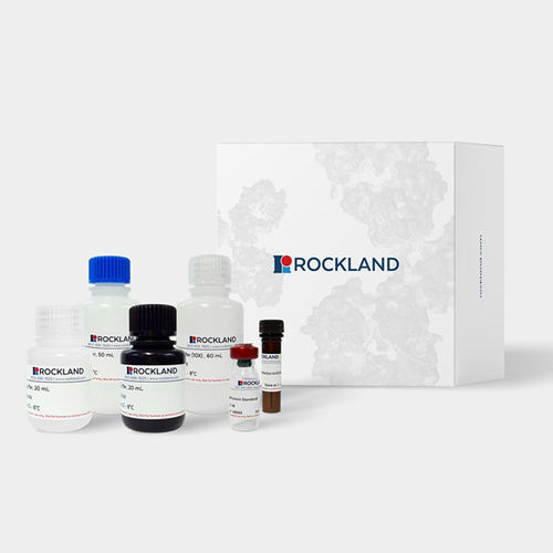ELISA-Kit - AccuSignal™ - Rockland Immunochemicals, Inc, - für Infektionskrankheiten / für Forschungszwecke / Escherichia coli