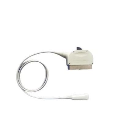 Phased-Array-Ultraschallsonde - 5S  - Compatible Probes - Bauch / Geburtshilfe/Gynäkologie / für Kleinstrukturen