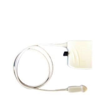 Mikrokonvexe Ultraschallsonde - C8-5 a - Compatible Probes - Bauch / Gefäß / für Kinder