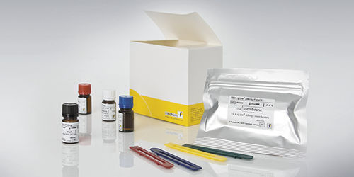 Allergie-Testkit - RIDA qLine®  - R-Biopharm AG - spezifisches IgE / Blei / Bakterien