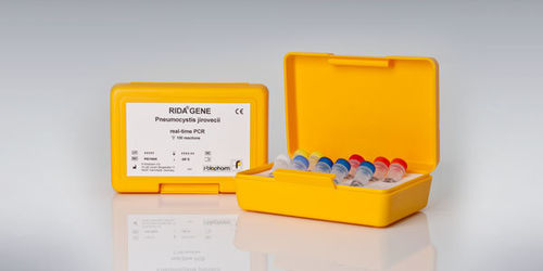 Testkit / Pneumocystis jirovecii - RIDA®GENE - R-Biopharm AG - Atemwegserkrankungen / Pneumonie / HIV