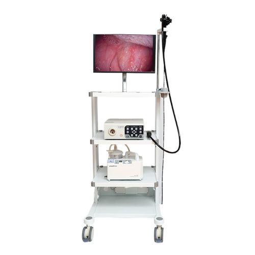 Veterinär-Gastroskop / Video - VET-1508 - Gongjiang Endoscopy Instruments - mit integriertem Bildschirm / mit Arbeitskanal