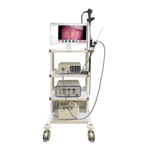 Veterinär-Laparoskop / Video - VET-0305Y - Gongjiang Endoscopy Instruments - mit integriertem Bildschirm / mit Arbeitskanal