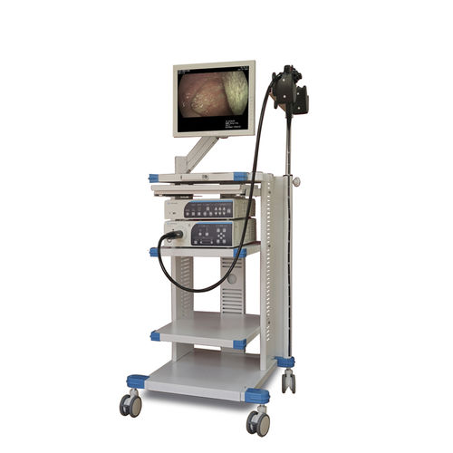 Endoskopiewagen für Magen-/Darm - EGT-100 - Gongjiang Endoscopy Instruments - Weißlicht-Bildgebung