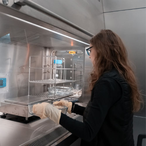 Mikrobiologische Sicherheitswerkbank / Klasse II - EREA