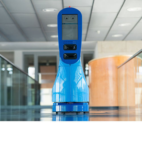 Telepräsenzroboter für Physiotherapie - THERY - TEDIRO GmbH - Telekonsultation