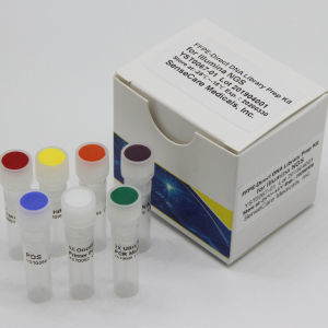 Reagenzkit / als Lösung - COMBO - Guilin Yourui Biotechnology Co., Ltd - NGS / zur Vorbereitung von ADN-Banken