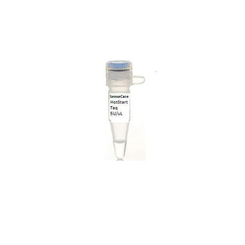 Taq-Polymerase-Reagenz - YST0002 series - Guilin Yourui Biotechnology Co., Ltd - für PCR