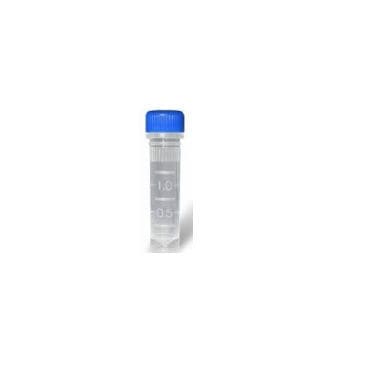 Reagenz / als Lösung - YST0011 series - Guilin Yourui Biotechnology Co., Ltd - Taq-Polymerase / umgekehrte Transkriptase / für Kliniken