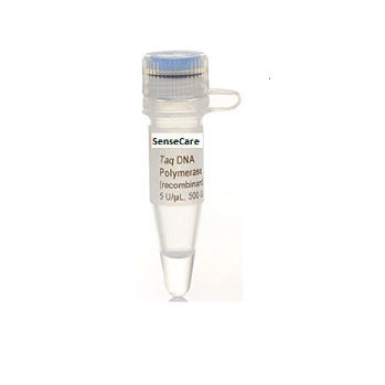 Enzyme-Reagenz - YST0001 series - Guilin Yourui Biotechnology Co., Ltd - DNA-Polymerase / Taq-Polymerase / für PCR