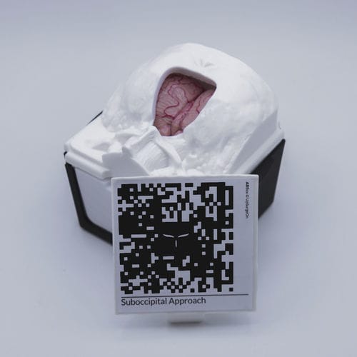Trainingssimulator - SuboccipitalBox - UpSurgeOn - Chirurgie / chirurgisch / für Neurochirurgie