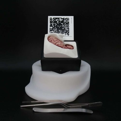 Simulator für Kraniotomie - FluorescentBox - UpSurgeOn - chirurgisch / Kit / Augmented Reality