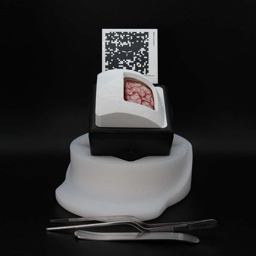 Trainingssimulator - BrainTumorBox - UpSurgeOn - für Allgemeinpflege / Anatomie