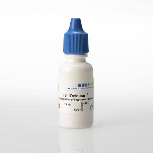 Schnelltest für Infektionskrankheiten - TestOxidase™ - PRO - LAB Diagnostics Ltd. - Cytochromoxidase / Bakterien