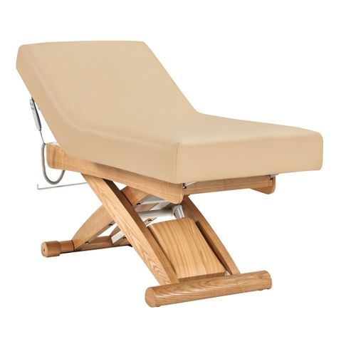Elektrische Wellnessliege - DST-1 - Jiangsu Sintang Health & Technology - auf Rollen / zweiteilig