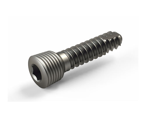 Knochen-Kompressionsschraube / für kleine Knochenfragmente - 2T1-11813512 - Ases Orthopedics - mit Verriegelung