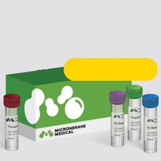 Testkit für Forschungszwecke - Unison Ultralow DNA NGS Library Preparation Kit/48 rxns [NLK - Micronbrane Medical Co., Ltd. - DNA / für DNA / zur NGS-Sequenzierung