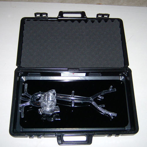 Anatomisches Modell / Herz - Sam - Lake Forest Anatomicals, Inc. - für Katheterisierung / Ausbildung / Kunststoff