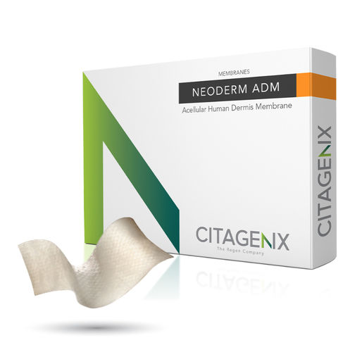 Zahnmodell zur Dentalrestaurierung - Neoderm™ ADM - Citagenix