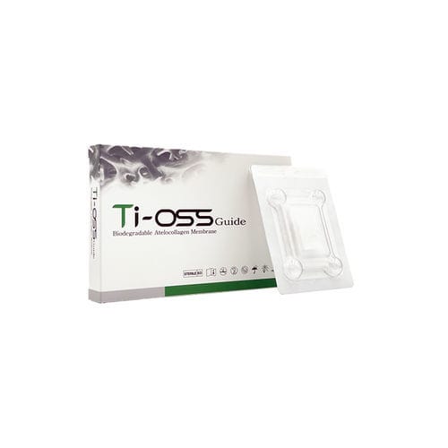 Zahnmodell - DTG-10002  - Ti-oss