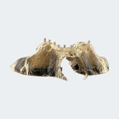 Anatomisches Modell / Knochen - NEW ANCORVIS S.r.l - chirurgisch / Ausbildung / Bewertung
