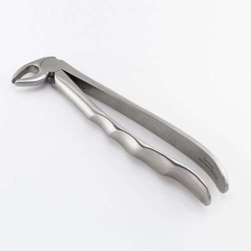 Dentale Extraktionszange / für Prämolaren - Orvosi instruments - englische Form