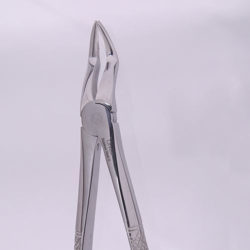 Dentale Extraktionszange / für Zahnwurzeln - Orvosi instruments - englische Form