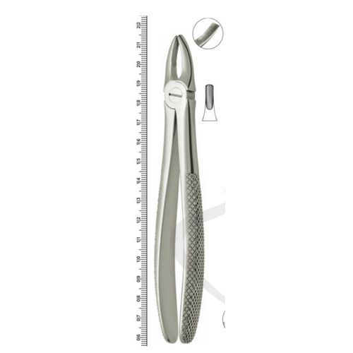 Dentale Extraktionszange / für Schneidezähne - Orvosi instruments - englische Form