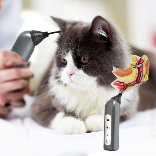 Kamerakopf für Endoskope - JZVet-EX01 - JZ Biotech - für Veterinärmedizin / Inspektion / digital