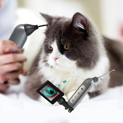 Veterinär-Otoskop / Video - JZVet-CH02 - JZ Biotech - für Kleintiere / für Großtiere / für Haustiere