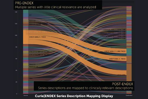 Web-Anwendung / Datenverwaltung - ENDEX™ - Enlitic - Datenanalyse / DICOM-Visualisierung / Reporting