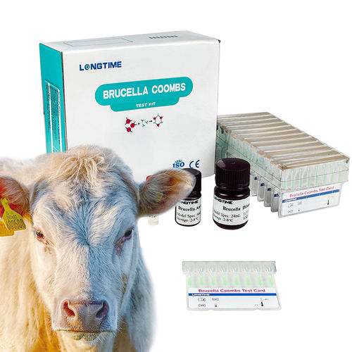 Testkit für Infektionskrankheiten - Zhuhai Longtime Biological Technology Co., Ltd. - für Tiere / Bakterien / Brucella