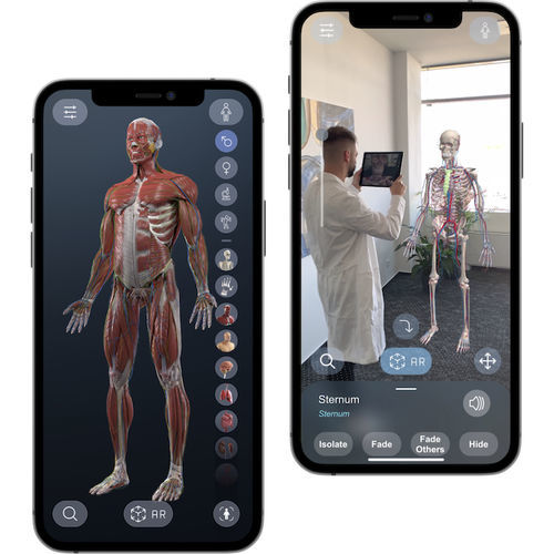 Immersive Virtual-Reality-Plattform - Human Anatomy VR - Virtual Medicine - medizinisch / für medizinische Ausbildung