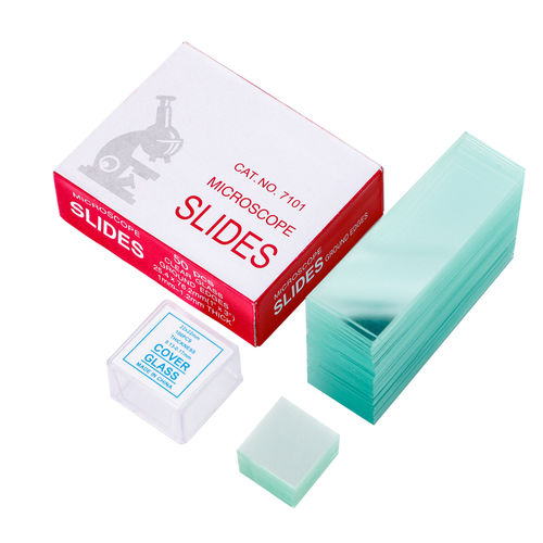 Objektträger für Mikroskop - Guangzhou Four E's Scientific Co., Ltd.