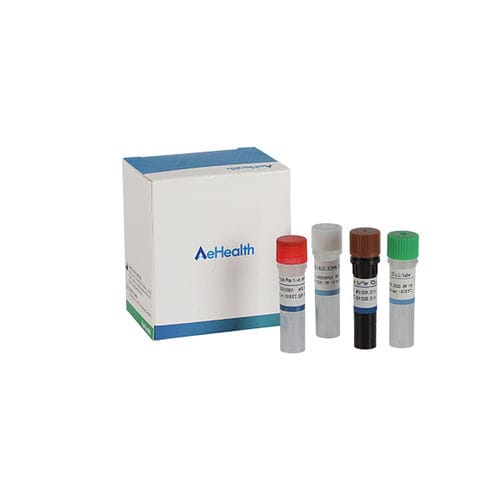 Testkit für Herpes - AEHEALTH - für Röteln / Viren / Affenpocken